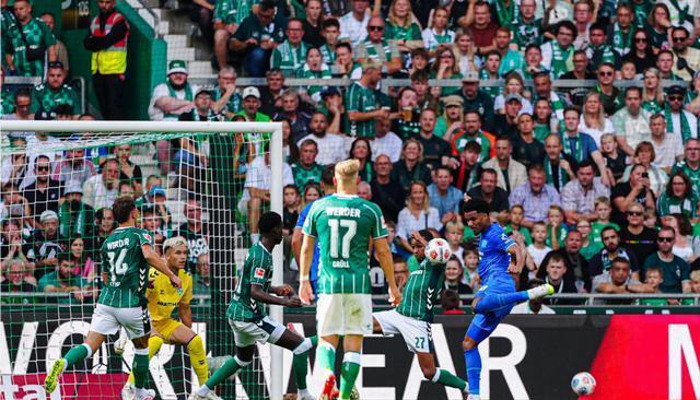 四任主教练 四任主教练