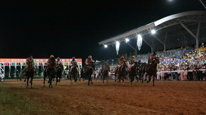 周忠能, 加贵州村马, msn 周忠能, 加贵州村马, msn